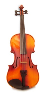 конструкция скрипки